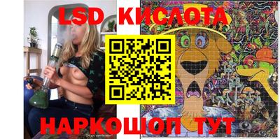 крисы Гатчина