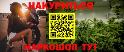 крисы Гатчина